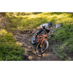 Pivot Firebird 29 Ride GX/X01 Bike - 2022 -Troy Lee Cycling Shop 1023181 800 auto