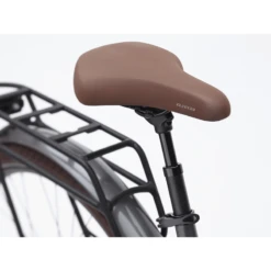 Electra Vale Go! EQ E-Bike - 2023 -Troy Lee Cycling Shop 1032603 800 auto