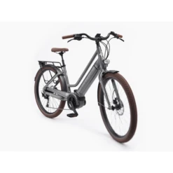 Electra Vale Go! EQ E-Bike - 2023 -Troy Lee Cycling Shop 1032606 800 auto