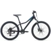 Liv Enchant Disc 24 Bike - 2023 -Troy Lee Cycling Shop 1035210 800 auto