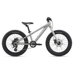 Giant STP 20 Bike Kids' - 2023 -Troy Lee Cycling Shop 1132614 800 auto