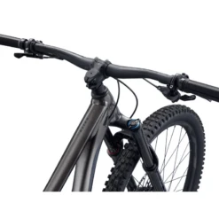 Giant Reign 29 Bike - 2023 -Troy Lee Cycling Shop 1133609 800 auto