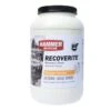 Hammer Nutrition Recoverite Recovery Drink -Troy Lee Cycling Shop 228390 800 auto