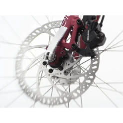 Electra Townie Path 9D Step-Thru Bike - 2023 -Troy Lee Cycling Shop 987864 800 auto